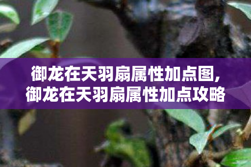御龙在天羽扇属性加点图,御龙在天羽扇属性加点攻略，适配不同玩法的最优方案