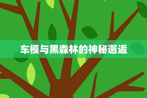 车模与黑森林的神秘邂逅 车模与黑森林的神秘邂逅