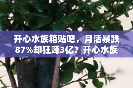 开心水族箱贴吧，月活暴跌87%却狂赚3亿？开心水族箱吧撕开游戏业最隐秘暴利面