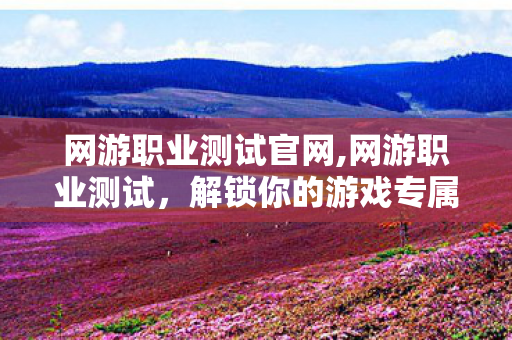 网游职业测试官网,网游职业测试，解锁你的游戏专属角色