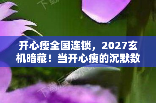 开心瘦全国连锁，2027玄机暗藏！当开心瘦的沉默数据撕开人生真相……