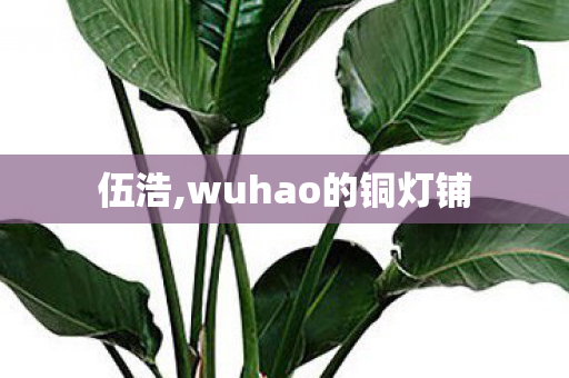 伍浩,wuhao的铜灯铺