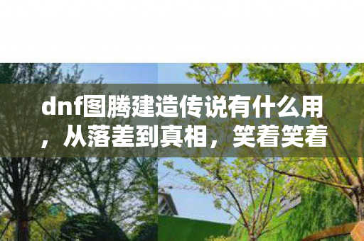 dnf图腾建造传说有什么用，从落差到真相，笑着笑着哭了，我竟还在为DNF图腾建造痴狂！