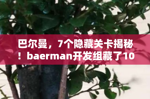 巴尔曼，7个隐藏关卡揭秘！baerman开发组藏了10年的秘密竟让百万玩家泪崩