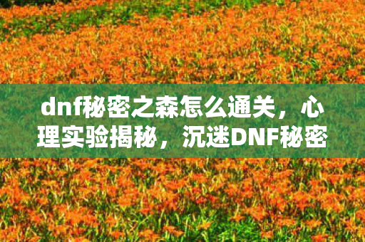 dnf秘密之森怎么通关，心理实验揭秘，沉迷DNF秘密之森，细思极恐的自我麻醉之旅