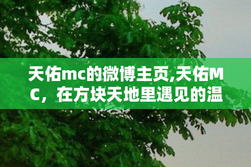 天佑mc的微博主页,天佑MC，在方块天地里遇见的温暖与热爱