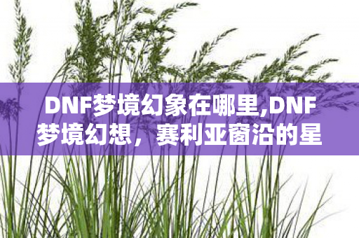 DNF梦境幻象在哪里,DNF梦境幻想，赛利亚窗沿的星尘