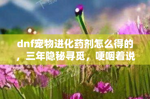dnf宠物进化药剂怎么得的,三年隐秘寻觅,哽咽着说,我终得那瓶进化药剂的深夜 dnf宠物进化药剂怎么得的,三年隐秘寻觅,哽咽着说,我终得那瓶进化药剂的深夜