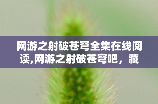 网游之射破苍穹全集在线阅读,网游之射破苍穹吧,藏着最纯粹的游戏热爱 网游之射破苍穹全集在线阅读,网游之射破苍穹吧,藏着最纯粹的游戏热爱