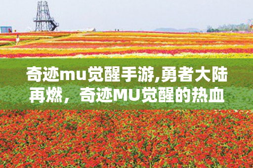 奇迹mu觉醒手游,勇者大陆再燃，奇迹MU觉醒的热血重生