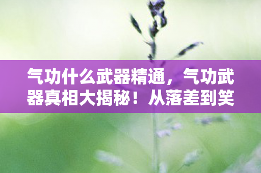 气功什么武器精通,气功武器真相大揭秘!从落差到笑着笑着哭了,这坑你跳不跳? 气功什么武器精通,气功武器真相大揭秘!从落差到笑着笑着哭了,这坑你跳不跳?