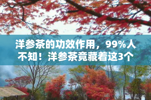 洋参茶的功效作用,99%人不知!洋参茶竟藏着这3个逆天养生秘密? 洋参茶的功效作用,99%人不知!洋参茶竟藏着这3个逆天养生秘密?