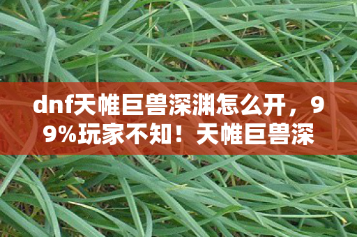 dnf天帷巨兽深渊怎么开,99%玩家不知!天帷巨兽深渊竟藏逆天机制,颠覆你的战斗认知! dnf天帷巨兽深渊怎么开,99%玩家不知!天帷巨兽深渊竟藏逆天机制,颠覆你的战斗认知!