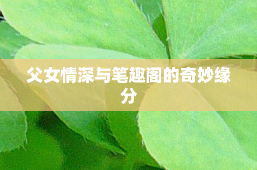 父女情深与笔趣阁的奇妙缘分 父女情深与笔趣阁的奇妙缘分