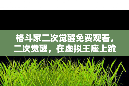 格斗家二次觉醒免费观看,二次觉醒,在虚拟王座上跪成现实的逃兵,灵魂震颤的悖论人生 格斗家二次觉醒免费观看,二次觉醒,在虚拟王座上跪成现实的逃兵,灵魂震颤的悖论人生
