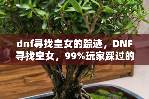 dnf寻找皇女的踪迹,DNF寻找皇女,99%玩家踩过的5大氪金猫腻,这波操作太上头! dnf寻找皇女的踪迹,DNF寻找皇女,99%玩家踩过的5大氪金猫腻,这波操作太上头!