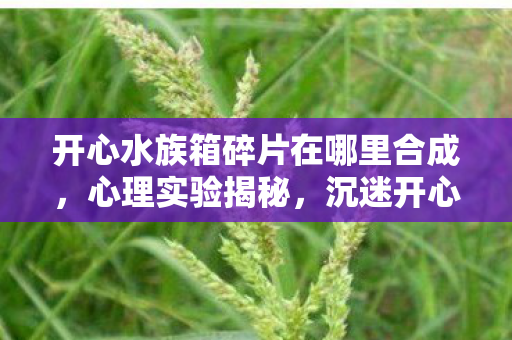 开心水族箱碎片在哪里合成,心理实验揭秘,沉迷开心水族箱合成,细思极恐的自我麻醉 开心水族箱碎片在哪里合成,心理实验揭秘,沉迷开心水族箱合成,细思极恐的自我麻醉