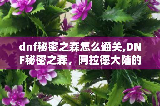 dnf秘密之森怎么通关,DNF秘密之森，阿拉德大陆的隐秘试炼场