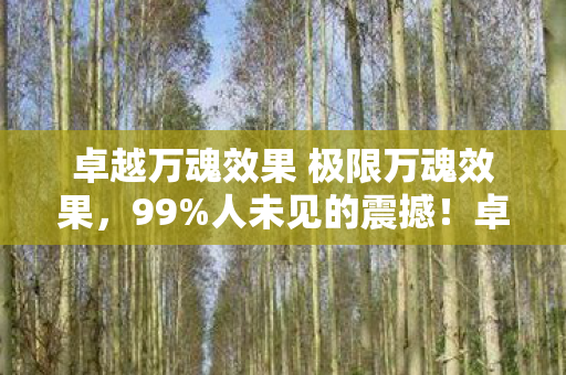 卓越万魂效果 极限万魂效果,99%人未见的震撼!卓越万魂效果竟让2027体验者集体破防? 卓越万魂效果 极限万魂效果,99%人未见的震撼!卓越万魂效果竟让2027体验者集体破防?