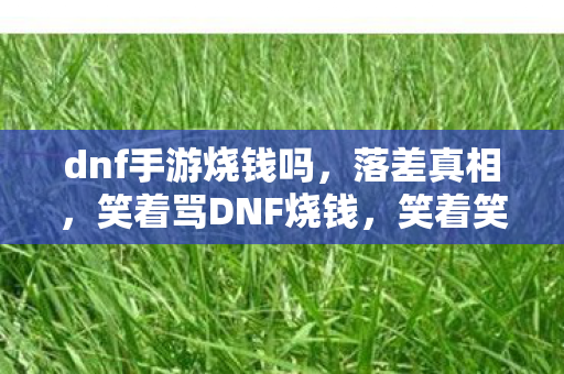 dnf手游烧钱吗,落差真相,笑着骂DNF烧钱,笑着笑着哭了自己 dnf手游烧钱吗,落差真相,笑着骂DNF烧钱,笑着笑着哭了自己
