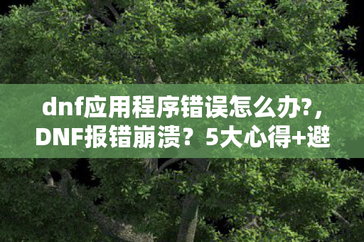 dnf应用程序错误怎么办?,DNF报错崩溃?5大心得+避坑指南,助你秒解程序异常! dnf应用程序错误怎么办?,DNF报错崩溃?5大心得+避坑指南,助你秒解程序异常!