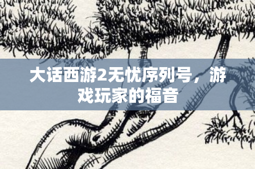 大话西游2无忧序列号,游戏玩家的福音 大话西游2无忧序列号,游戏玩家的福音