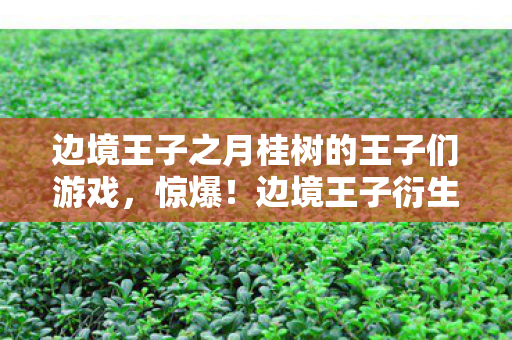 边境王子之月桂树的王子们游戏,惊爆!边境王子衍生数破圈,意想不到周边竟堆满我家天花板! 边境王子之月桂树的王子们游戏,惊爆!边境王子衍生数破圈,意想不到周边竟堆满我家天花板!