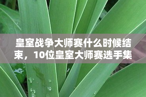 皇室战争大师赛什么时候结束，10位皇室大师赛选手集体绷不住！神秘疑点让围观群众直呼离谱