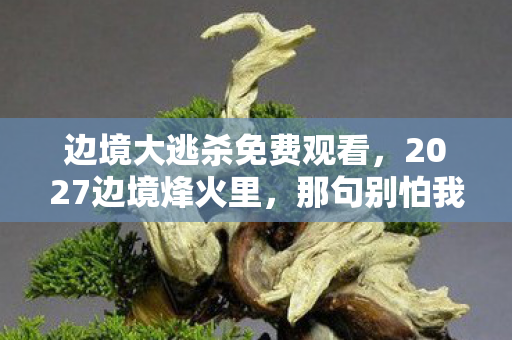 边境大逃杀免费观看，2027边境烽火里，那句别怕我在成伏笔，如今想起鼻子一酸
