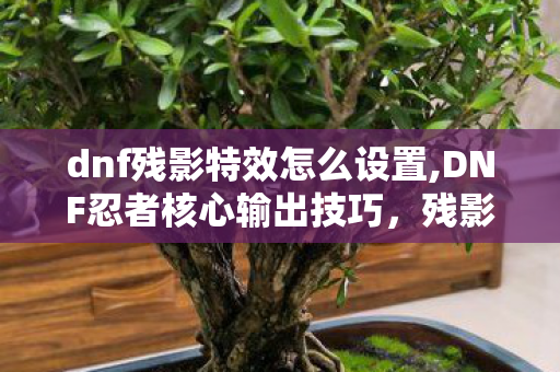 dnf残影特效怎么设置,DNF忍者核心输出技巧，残影术的实战使用指南