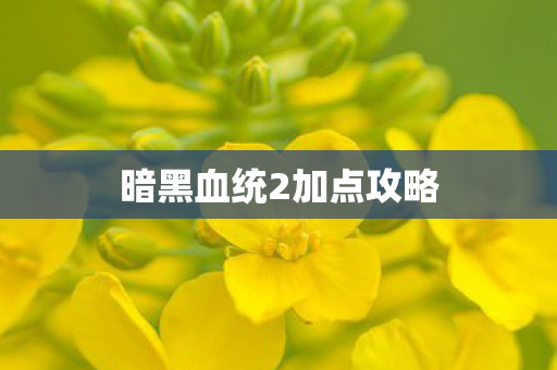 暗黑血统2加点攻略 暗黑血统2加点攻略