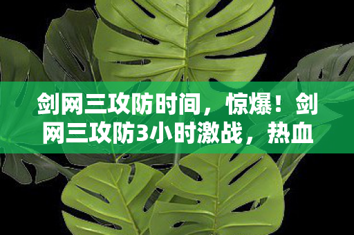 剑网三攻防时间，惊爆！剑网三攻防3小时激战，热血沸腾的极致体验心得！