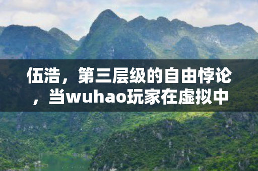 伍浩，第三层级的自由悖论，当wuhao玩家在虚拟中叩响命运回响
