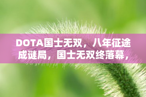 DOTA国士无双,八年征途成谜局,国士无双终落幕,泪目一瞬成永恒 DOTA国士无双,八年征途成谜局,国士无双终落幕,泪目一瞬成永恒