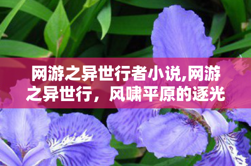网游之异世行者小说,网游之异世行,风啸平原的逐光之旅 网游之异世行者小说,网游之异世行,风啸平原的逐光之旅