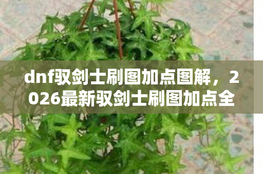 dnf驭剑士刷图加点图解,2026最新驭剑士刷图加点全解析!3大核心心得+5大避坑指南 dnf驭剑士刷图加点图解,2026最新驭剑士刷图加点全解析!3大核心心得+5大避坑指南