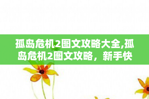 孤岛危机2图文攻略大全,孤岛危机2图文攻略,新手快速上手与关键关卡技巧 孤岛危机2图文攻略大全,孤岛危机2图文攻略,新手快速上手与关键关卡技巧
