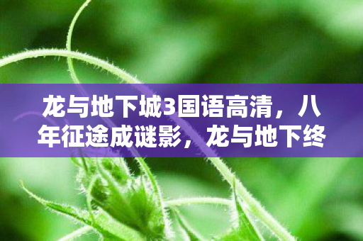 龙与地下城3国语高清，八年征途成谜影，龙与地下终泪目，此别再无相逢期