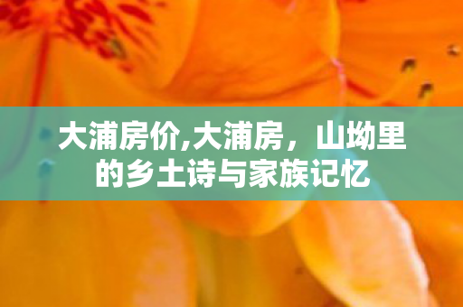 大浦房价,大浦房,山坳里的乡土诗与家族记忆 大浦房价,大浦房,山坳里的乡土诗与家族记忆