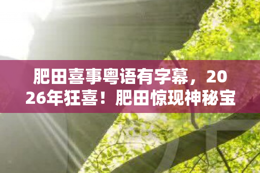 肥田喜事粤语有字幕，2026年狂喜！肥田惊现神秘宝藏，背后真相让人直呼过瘾！