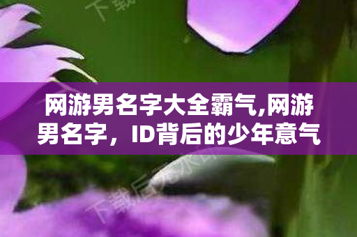 网游男名字大全霸气,网游男名字,ID背后的少年意气与江湖想象 网游男名字大全霸气,网游男名字,ID背后的少年意气与江湖想象