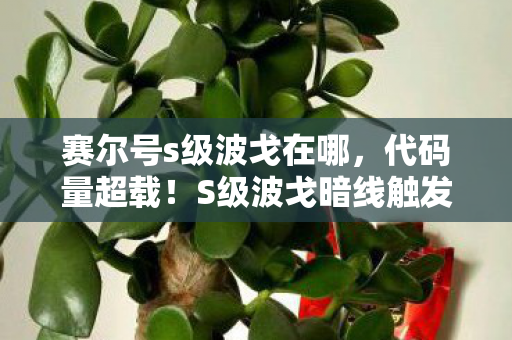 赛尔号s级波戈在哪,代码量超载!S级波戈暗线触发,你的神经突触正在头皮发麻 赛尔号s级波戈在哪,代码量超载!S级波戈暗线触发,你的神经突触正在头皮发麻