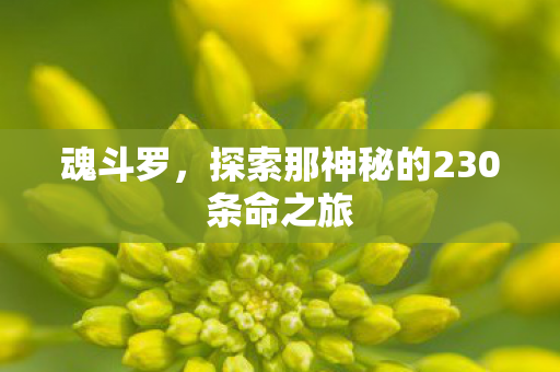 魂斗罗,探索那神秘的230条命之旅 魂斗罗,探索那神秘的230条命之旅