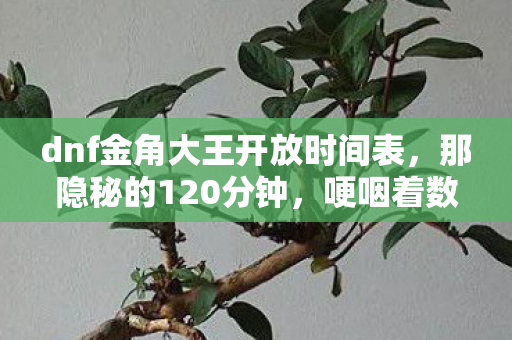 dnf金角大王开放时间表，那隐秘的120分钟，哽咽着数过，金角大王开放时光终成过往