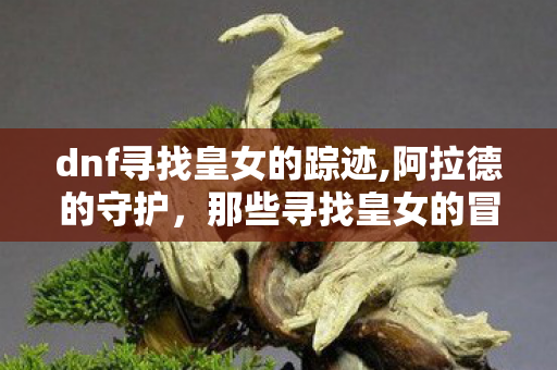 dnf寻找皇女的踪迹,阿拉德的守护,那些寻找皇女的冒险时光 dnf寻找皇女的踪迹,阿拉德的守护,那些寻找皇女的冒险时光