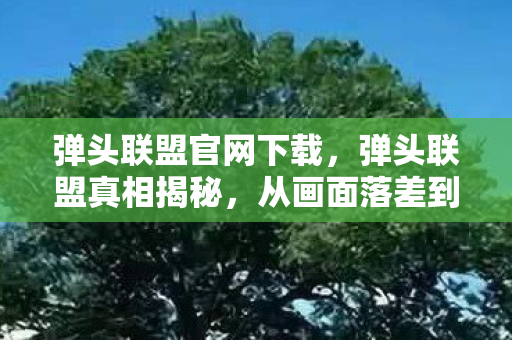 弹头联盟官网下载，弹头联盟真相揭秘，从画面落差到笑着笑着哭了，你还在坚持吗？