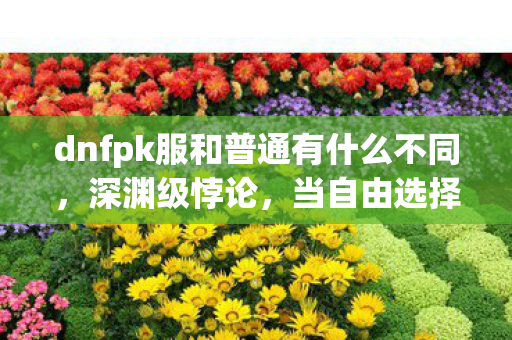 dnfpk服和普通有什么不同，深渊级悖论，当自由选择撞碎命运的铁幕，你的灵魂震颤了吗？