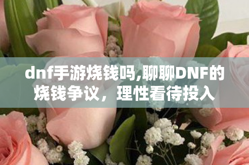 dnf手游烧钱吗,聊聊DNF的烧钱争议，理性看待投入