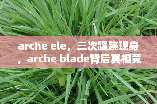 arche ele，三次蹊跷现身，arche blade背后真相竟让人后背发凉！