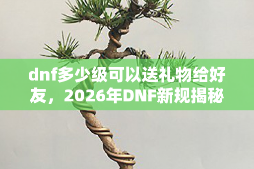 dnf多少级可以送礼物给好友，2026年DNF新规揭秘，多少级解锁送礼特权？答案超乎想象！